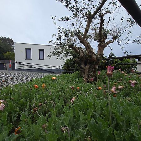 桑塔纳Casa Do Manuel公寓 外观 照片